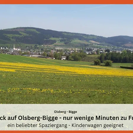 Ferienwohnungen Sauerland Und Olsberg Eksteriør billede